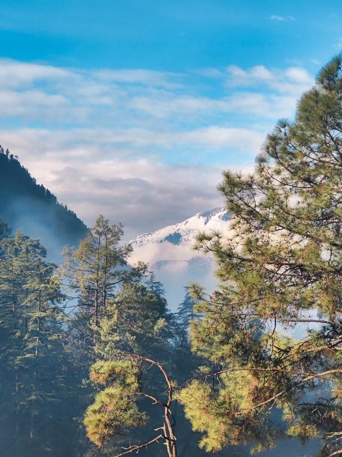 Free Culture, Chalal Bed & Breakfast Kasol Luaran gambar